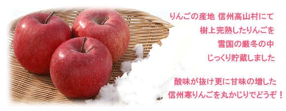 信州りんご産直　信州の雪の中で貯蔵しました。酸味が抜け甘味の増した信州寒りんごを丸かじりでどうぞ